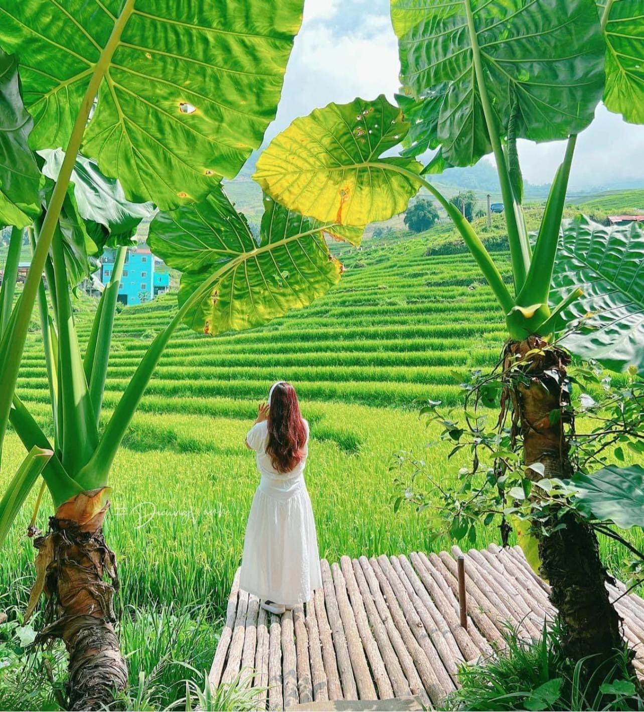 Boutique En Hotel Sapa Dış mekan fotoğraf